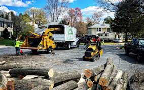 Reliable Silver Summit, UT  Tree Services Solutions